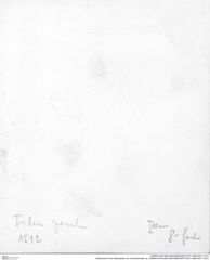 Historisches Foto (Rückseite) von Goniodromites sp. (NHMW-AFW-GEO-BACHMAYER-FOTO-1990-0041-1512)